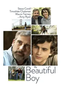 Poster to the movie "Beautiful Boy" #98541