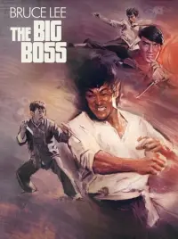 Poster to the movie "The Big Boss" #91147