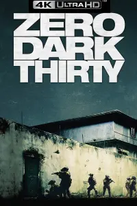 Poster to the movie "Zero Dark Thirty" #248601