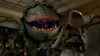 Backdrop to the movie "Little Shop of Horrors" #254324