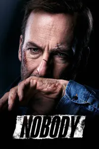 Poster to the movie "Nobody" #35853