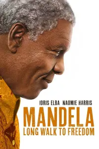 Poster to the movie "Mandela: Long Walk to Freedom" #152220