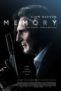 Poster to the movie "Memory" #37741