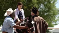 Backdrop to the movie "Cowgirls n