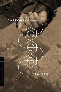 Poster to the movie "Stalker" #569152