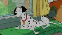 Backdrop to the movie "One Hundred and One Dalmatians" #659230