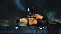 Backdrop to the movie "Catwoman" #327836