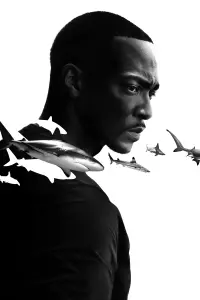 Shark Beach with Anthony Mackie