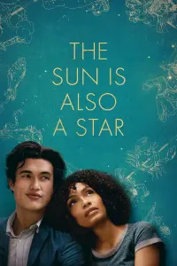 Poster to the movie "The Sun Is Also a Star" #248855