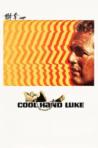 Poster to the movie "Cool Hand Luke" #102967