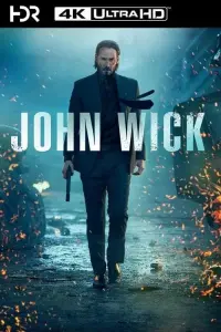 Poster to the movie "John Wick" #51570