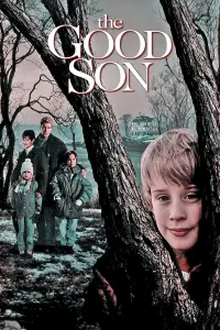 Poster to the movie "The Good Son" #78310