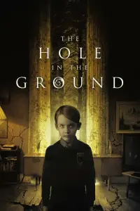 Poster to the movie "The Hole in the Ground" #135686