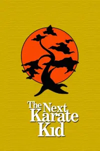 Poster to the movie "The Next Karate Kid" #63676