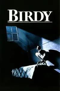 Poster to the movie "Birdy" #144244