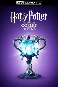 Poster to the movie "Harry Potter and the Goblet of Fire" #7813