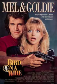 Poster to the movie "Bird on a Wire" #298319