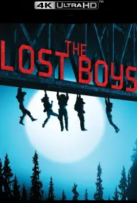 Poster to the movie "The Lost Boys" #113440