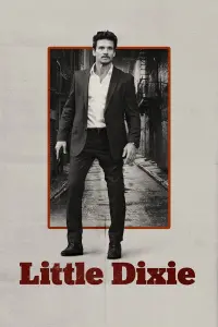 Poster to the movie "Little Dixie" #102648