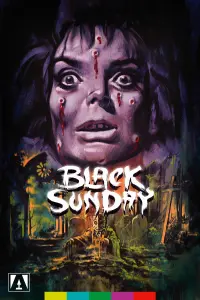 Poster to the movie "Black Sunday" #211562