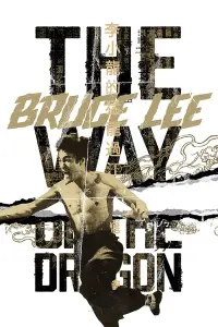 Poster to the movie "The Way of the Dragon" #82865