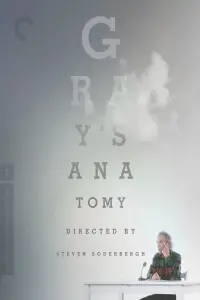 Poster to the movie "Gray