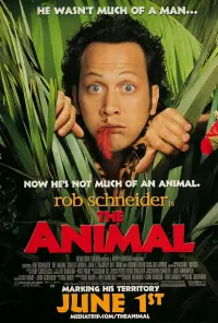 Poster to the movie "The Animal" #350835