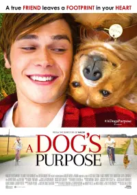 Poster to the movie "A Dog