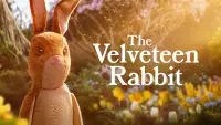 Backdrop to the movie "The Velveteen Rabbit" #3352