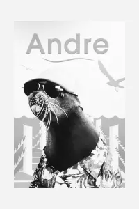 Poster to the movie "Andre" #590505