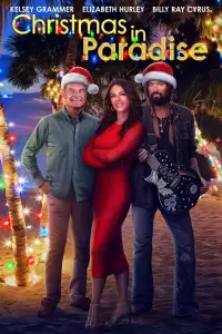 Poster to the movie "Christmas in Paradise" #145621