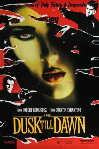 Poster to the movie "From Dusk Till Dawn" #69493