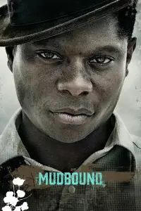 Poster to the movie "Mudbound" #219255