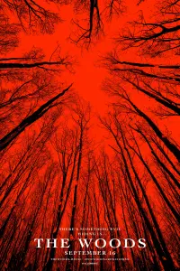 Poster to the movie "Blair Witch" #91000