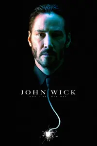 Poster to the movie "John Wick" #51551