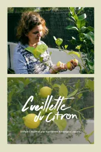 Poster to the movie "Cueillette du citron" #634699