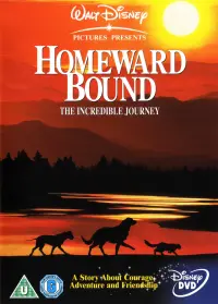 Poster to the movie "Homeward Bound: The Incredible Journey" #251071