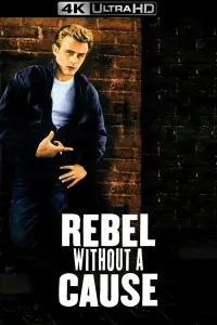 Poster to the movie "Rebel Without a Cause" #121096