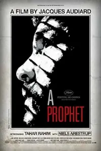 Poster to the movie "A Prophet" #427620