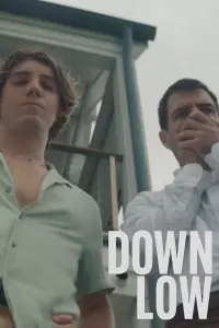 Poster to the movie "Down Low" #477239