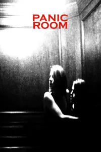 Poster to the movie "Panic Room" #264217