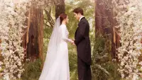 Backdrop to the movie "The Twilight Saga: Breaking Dawn - Part 1" #170994