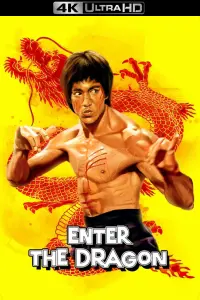 Poster to the movie "Enter the Dragon" #66011