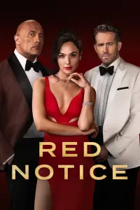 Poster to the movie "Red Notice" #29534