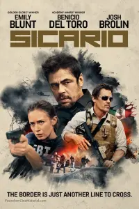 Poster to the movie "Sicario" #39674