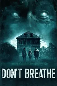 Poster to the movie "Don