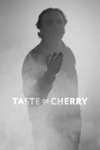 Poster to the movie "Taste of Cherry" #111979