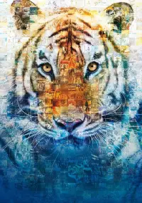 Poster to the movie "Life of Pi" #218543