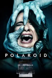 Poster to the movie "Polaroid" #308780