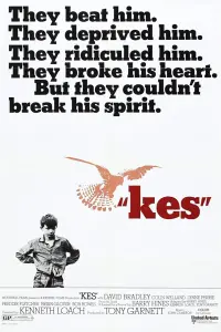 Poster to the movie "Kes" #211590